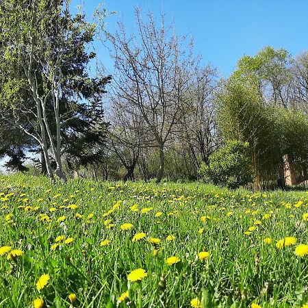 Chambre Soignee Et Accueillante A La Campagne - Ch. Jaune L'Honor-de-Cos Exterior foto