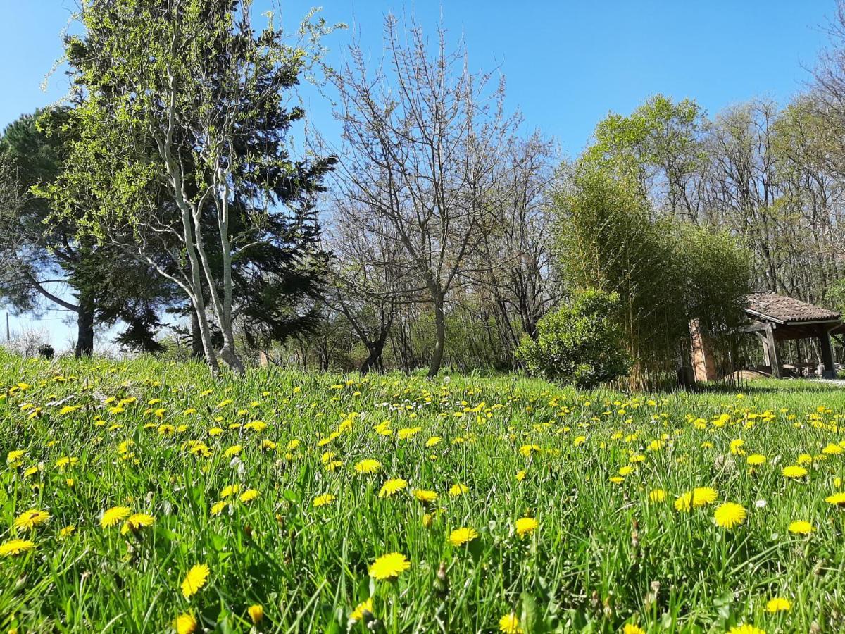 Chambre Soignee Et Accueillante A La Campagne - Ch. Jaune L'Honor-de-Cos Exterior foto